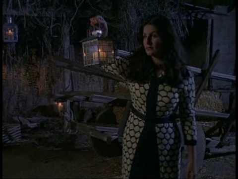 The Wayfarer's Journey