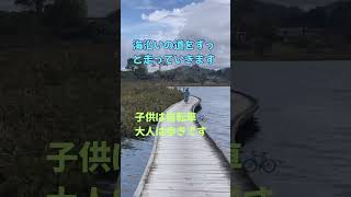 パウアヌイでハイキング&サイクリング #家族旅行 #英会話海外留学 #旅行 #海外在住ママ #familytrip #ニュージーランド移住 #ニュージーランド #海外移住 #家族移住
