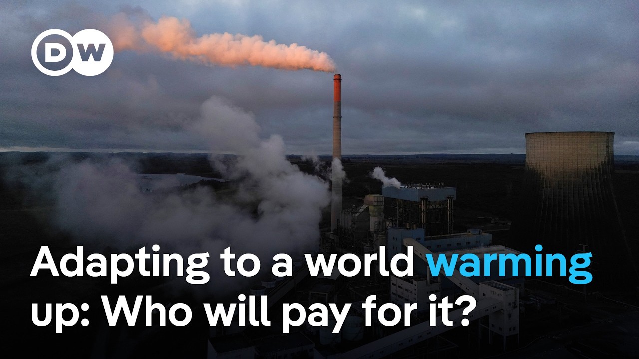 'The transition away from fossil fuels and adaptation' to dominate COP30 agenda - analyst | DW News