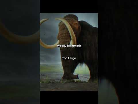 Prehistoric Animals That Would Change History 💀