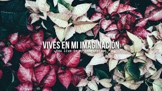 Olivia • One Direction | Letra en español / inglés