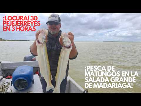 PESCA DE PEJERREY EN MADARIAGA: 30 EN 3 HORAS ¡UNA LOCURA LOS MATUNGOS!  | PESCANDO CON TETE