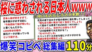 日本人、桜が関わるといろんな方向性でおかしくなる模様ｗ