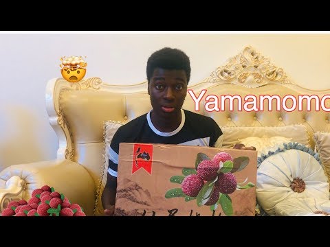 Yang mei | Trying out an exotic rare fruit in China Yamamomo