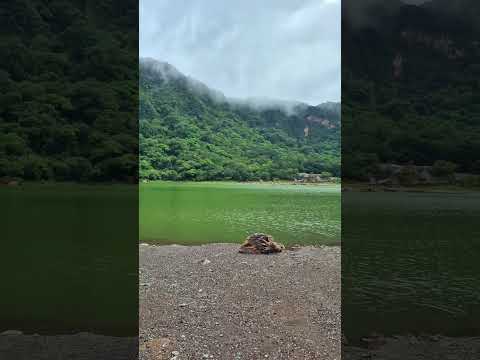 Laguna De Alegría Usulutan🇸🇻❤️🙏🏻#shortvideo #travel #reels #elsalvador #dji #laguna #usulutan #love