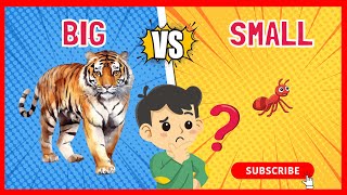 Top 10 Jungle Opposites for Kids!