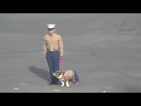 MCRD San Diego Kilo Company Graduation - 12/12/25