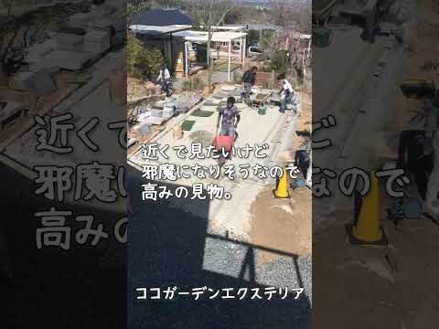 デザイナーズガーデンブランコ – 18 種類のバリエーションの中でどれが一番良いですか?  庭園