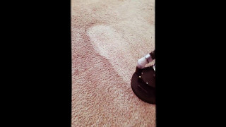 Mytee t-rex Judson tnt Sapphire scientific killer