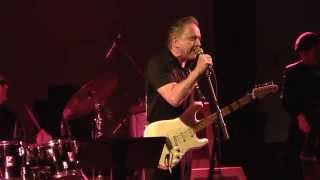 Jimmie Vaughan--  I Ain't Never