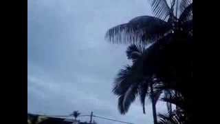 Starling Murmuration 1st Dec 2013 7:58:31 AM MYT