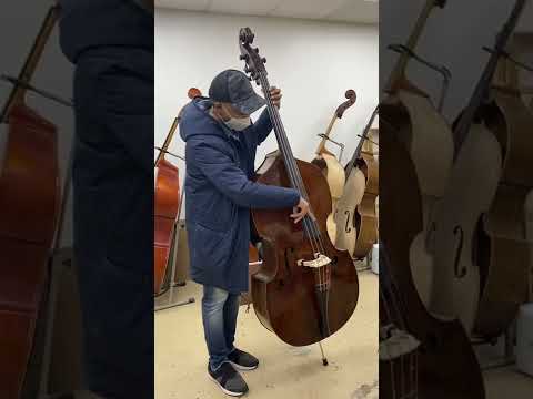 Rueben Rogers playing bass