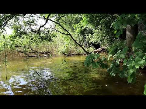 Jeziorak - jak się tam żegluje .:)