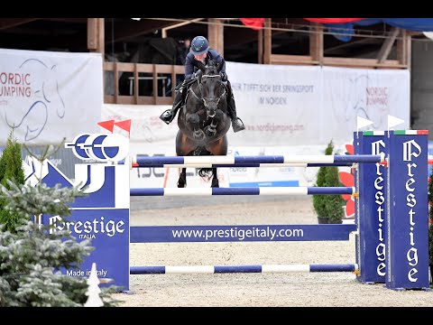 Lint Hengstvorführung 2021 - Hengststation Dirk Ahlmann