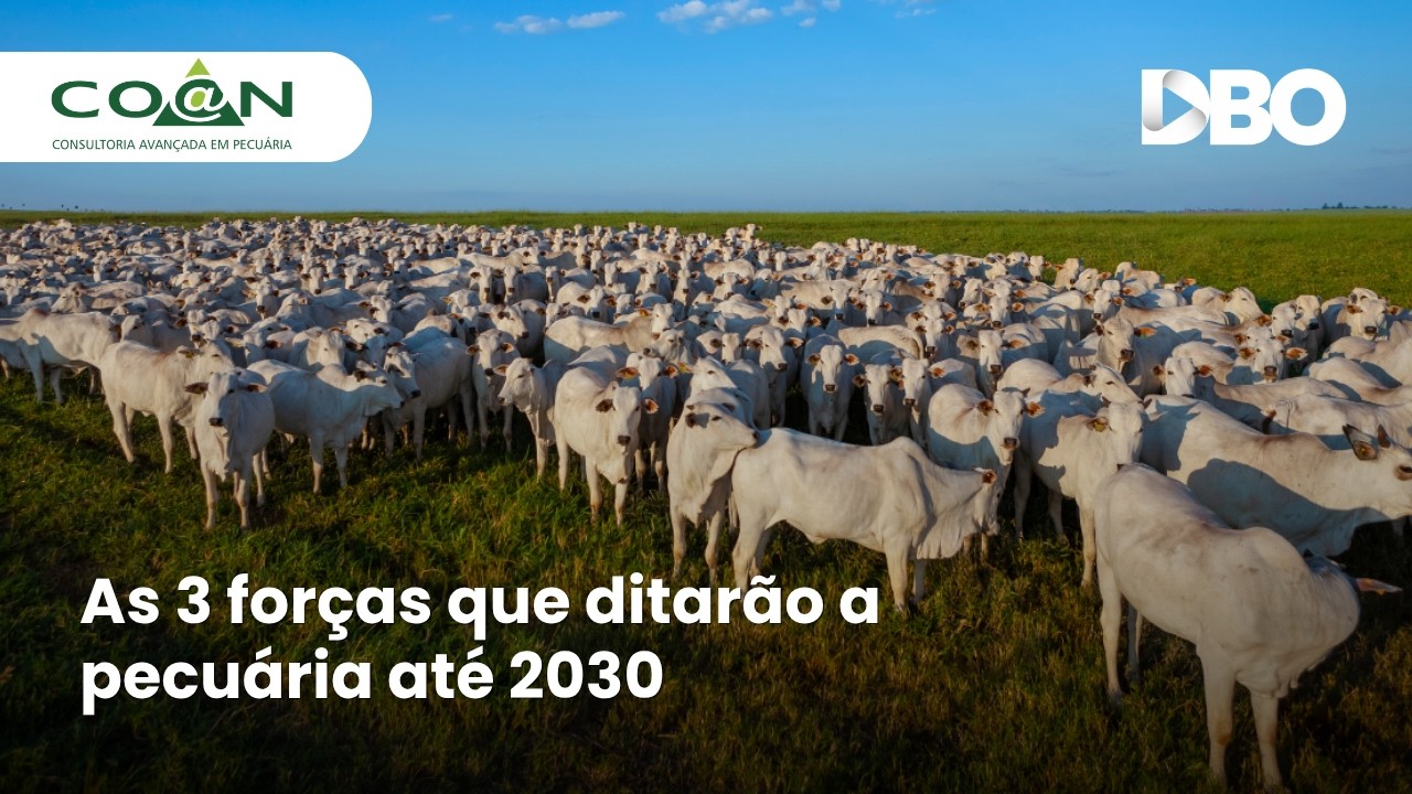 De olho no futuro, Coan reúne pecuaristas para fomentar gestão, eficiência e margem