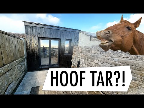 UNEXPECTED WOOD FINISH WORKS SO WELL!