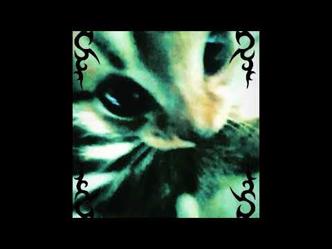 [FREE] deftones x alternative rock x heavy shoegaze type beat - "everytime"