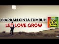 Biarkan Cinta Tumbuh Sebisanya Abil Ska 86 Ft NIKISUKA Lirik Terjemahan Inggris