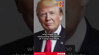 Comunicaciones entre Trump y Musk.