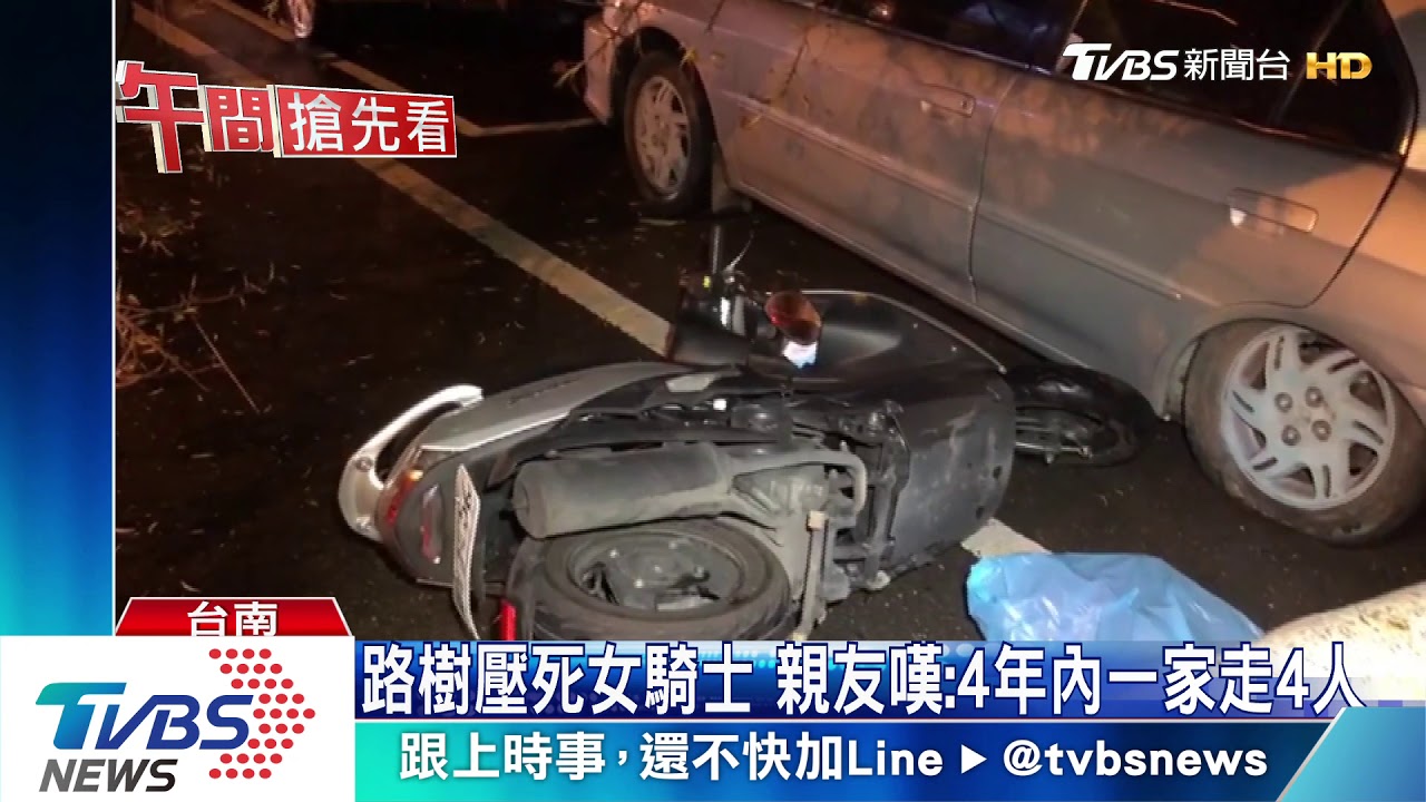 菩提樹淺根雨天土鬆軟 倒塌壓死女騎士
