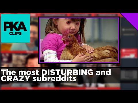 The most DISTURBING and CRAZY subreddits - PKA Clip