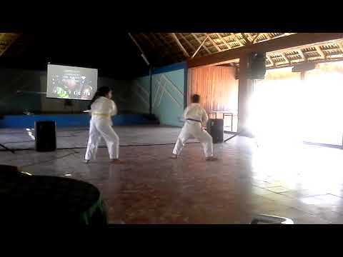 kata maezato y bunkai