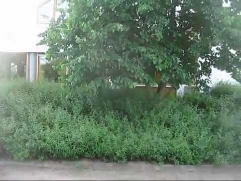 Tennis Club Hockenheim - Unsere Anlage 2009