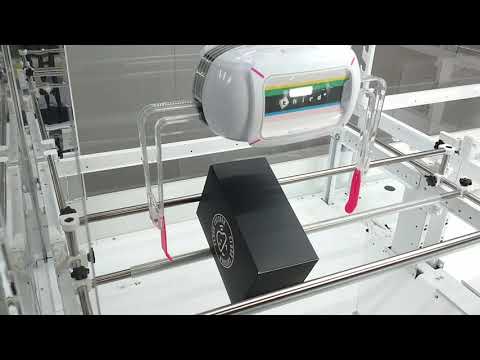 動画のサムネイル