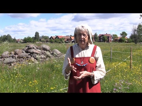 Rundvandring bland vikingagravar på Sollerön.