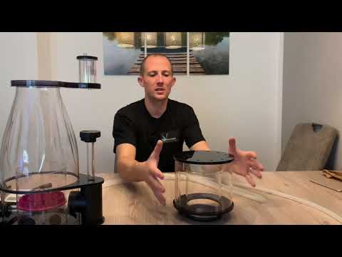 Ocean Queen - Review by Eider Aquaristik