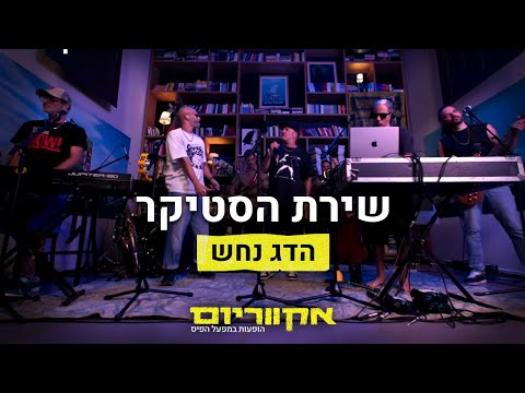 אקווריום - הופעות במפעל הפיס and Hadag Nahash