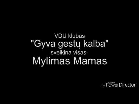 Linas Adomaitis Pakylėk lygi dangaus😉👌🎶💯