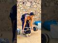 Over Confidance Overconfidence Meenu Trending Shorts Billasonipatala