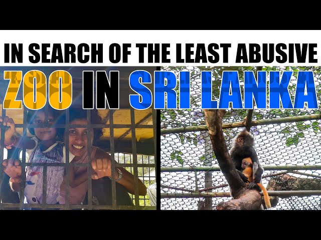 In search of the least abusive zoo in Sri Lanka