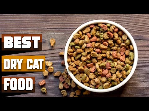 Best Dry Cat Food In 2022 - Top 10 Dry Cat Foods Review