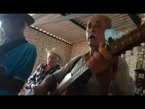 Folia de Santos Reis - Goianésia Goiás - 2025 - 9