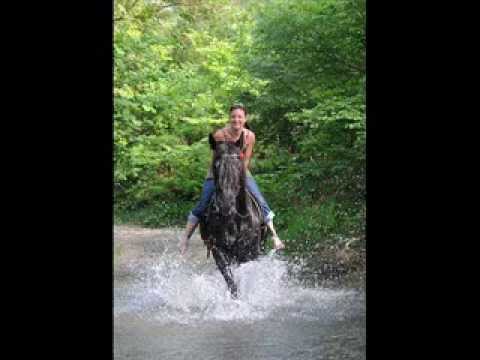 Untergriesbach-Song von À Kappel lá