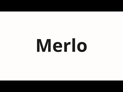How to pronounce Merlo | Мерло (Merlo in Russian)