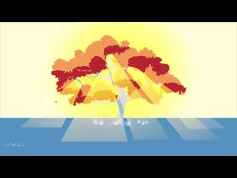 10-Minute Loving Kindness Meditation