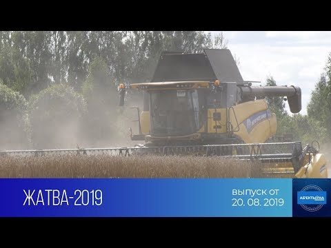 Особенности уборочной кампании 2019-го года: передача "На контроле власти. Объективно" ТРК "Витебск"