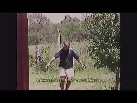 Weightless - Arnoldo´ Lizards