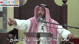 1087 - تؤخذ زكاة الزروع والثمار بداية النضج - عثمان الخميس - دليل الطالب