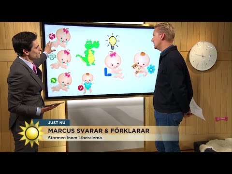Marcus Oscarsson: Stort bebisbråk i riksdagen - Nyhetsmorgon (TV4)