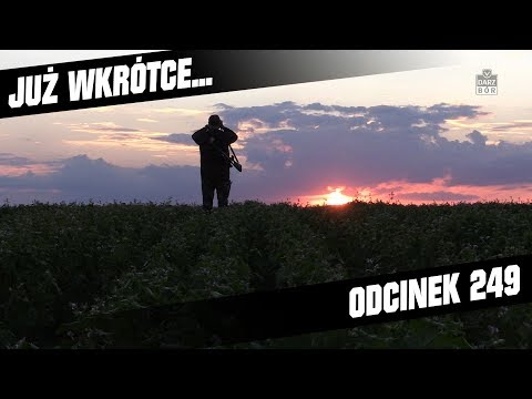 Darz Bór zapowiedź odcinka 249