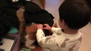 [討論] 還有什麼方法能救喵喵