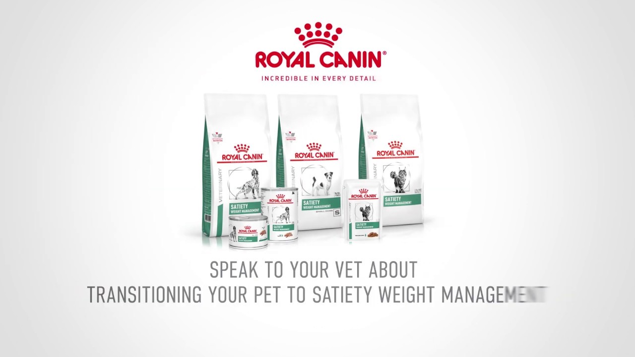Watch video ROYAL CANIN Satiety Weight Management Now ROYAL CANIN Satiety Weight Management