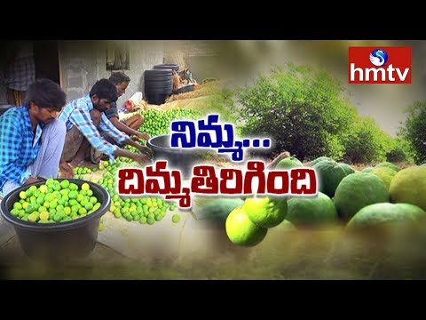 download lagu mp3 mp4 Why Are Lemons So Expensive Right Now, download lagu Why Are Lemons So Expensive Right Now gratis, unduh video klip Why Are Lemons So Expensive Right Now