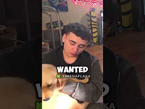 Take this dog away from Lacy 😭🙏 #kick #kickclips #lacy #ximena