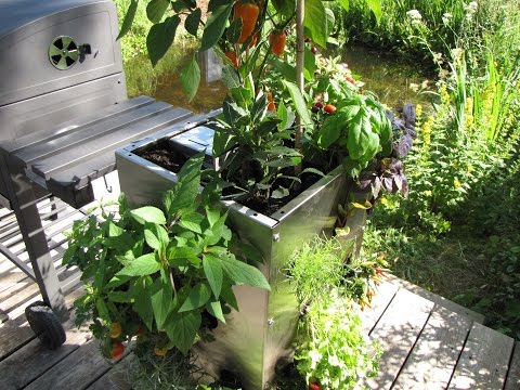 Schmidt Max entdeckt den KUBI