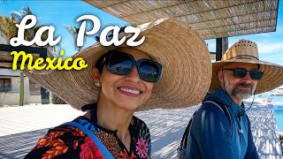 La Paz Mexico Travel 🇲🇽 Beach Yoga, Tacos, Dolphins & Malecón Adventures